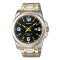 CASIO MTP-1314SG-1AVDF